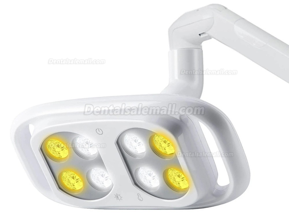 Dental Chair Light Infrared Inductive Oral Lamp 8 LEDs 10W 2 Color Adjustable
